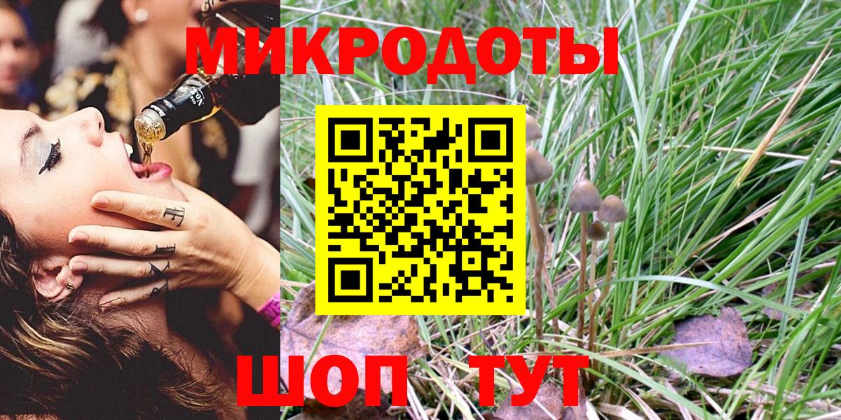 Псилоцибиновые грибы Cubensis Кудымкар